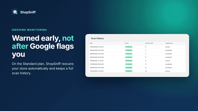 Scan history showing automatic rescans and issue counts