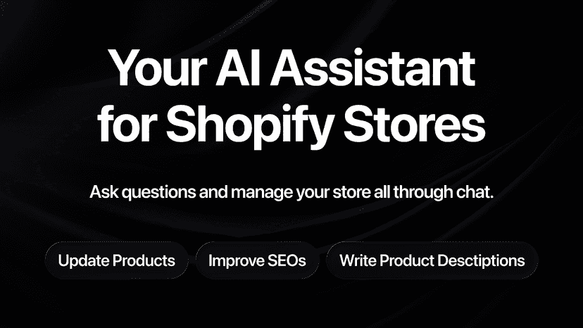 Sellwise: your AI assistant for Shopify stores