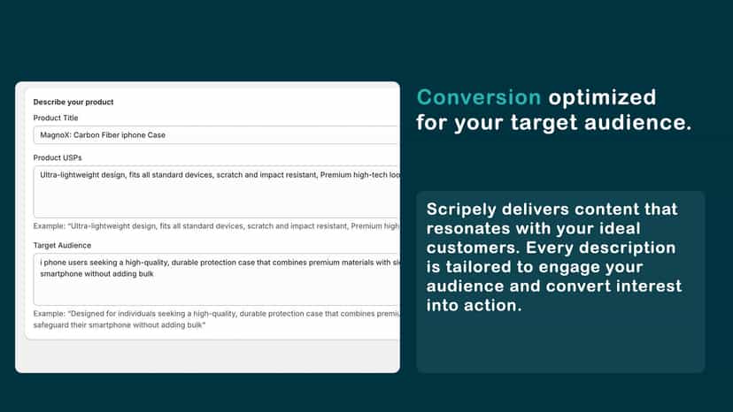 Product info form with title, USPs, and audience fields