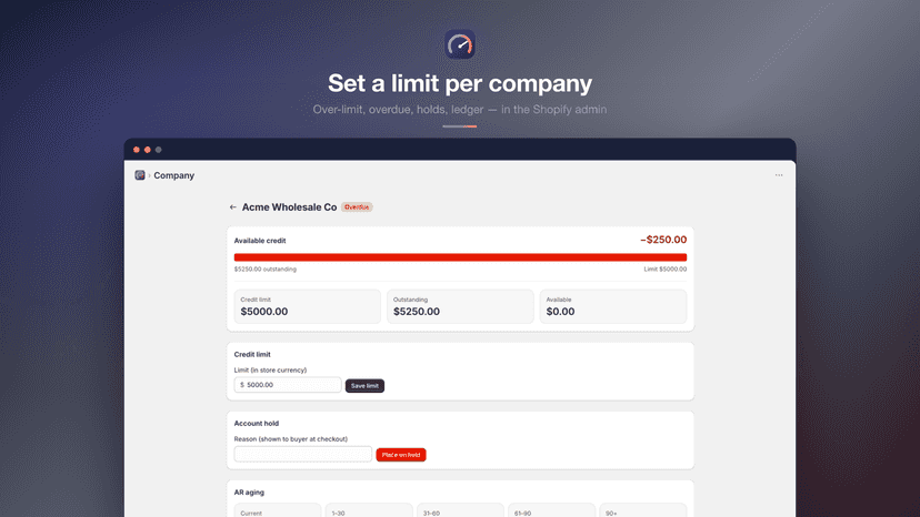 Set a credit limit per B2B company