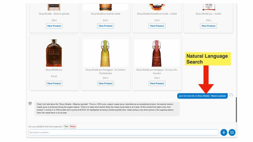 Natural Language Search