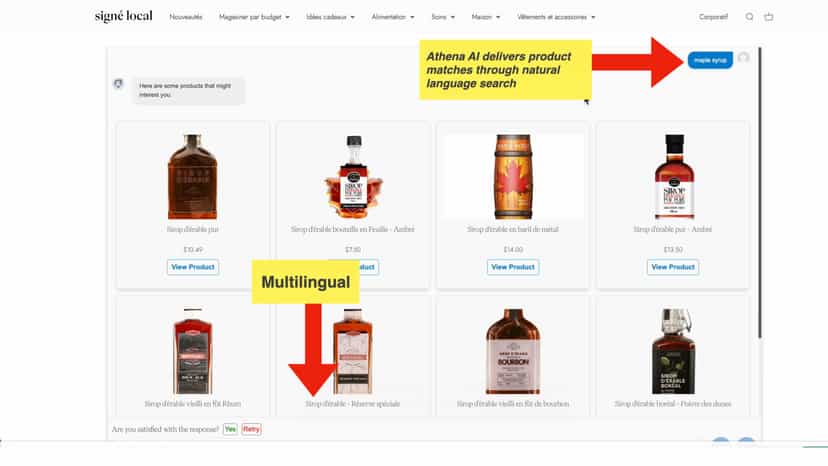 Multilingual and Natural Language Capabilities
