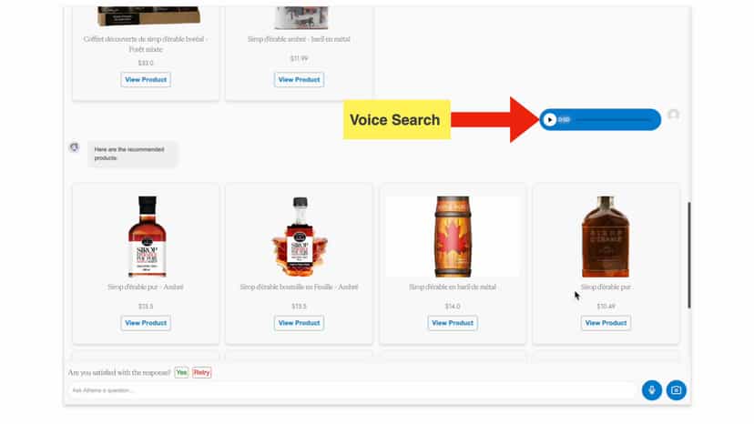 Voice Search