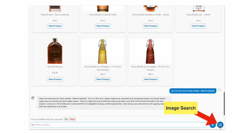 Image Search