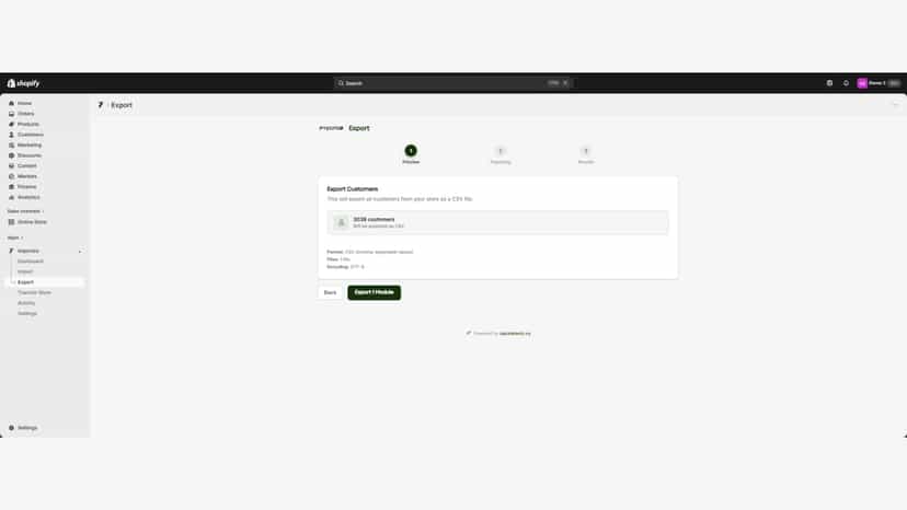 Customer export screen with export preview