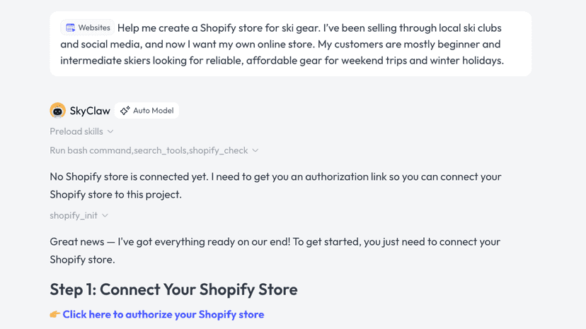 Store setup guided by Skywork AI