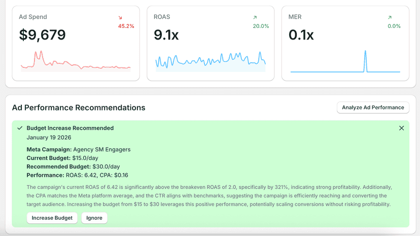 automated campaign optimizations