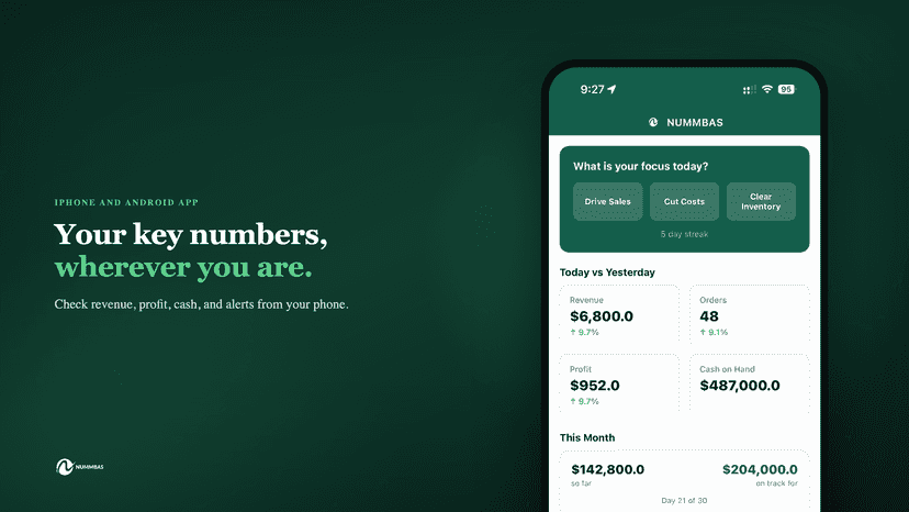 Mobile dashboard showing today's revenue, profit, and cash