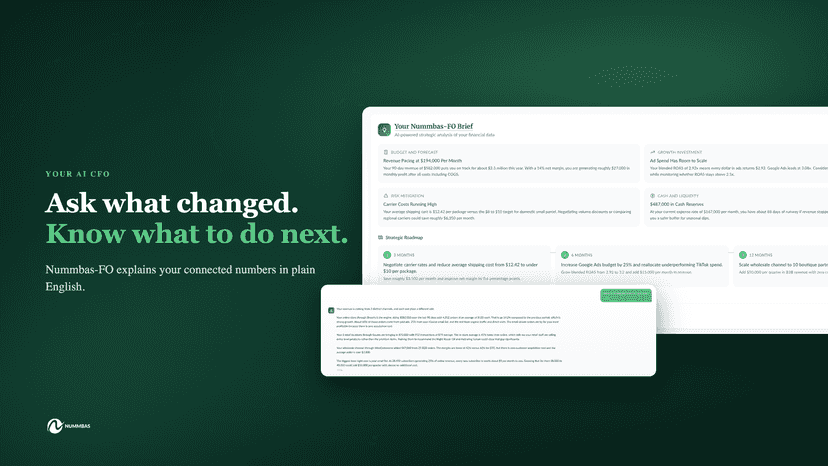 Nummbas-FO brief and chat answering questions about the business