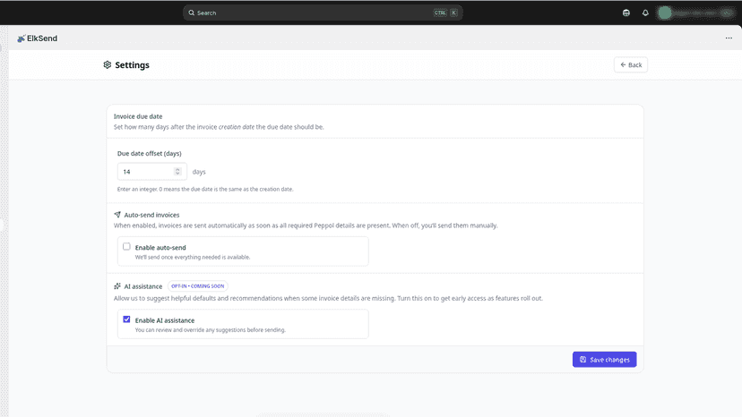 E-invoice settings