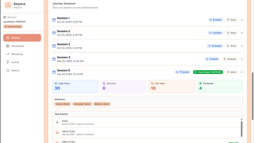 Aeyora Dashboard - Visitor Touch Point Analysis