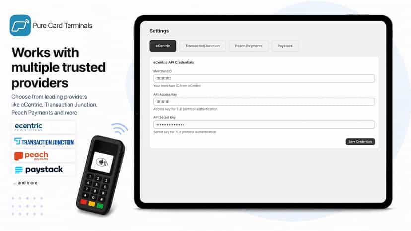 ecentric, paystack, peach payments, transaction junction