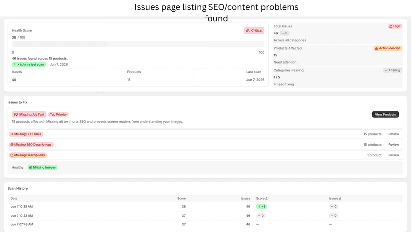 Issues page listing SEO/content problems found
