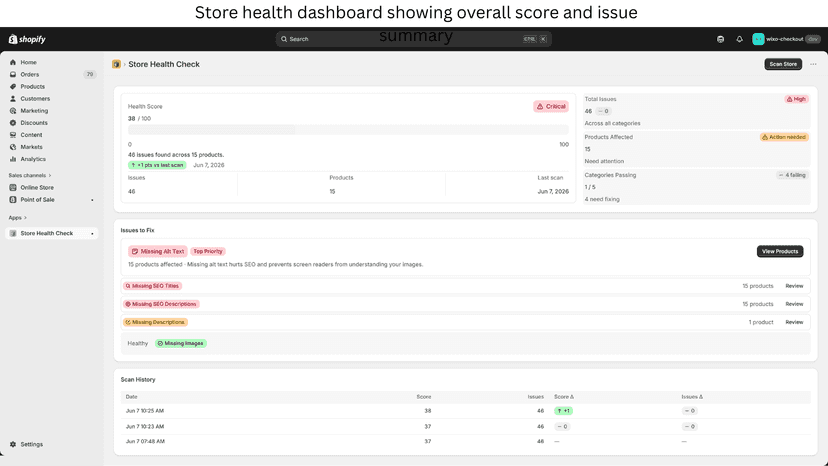 Store health dashboard showing overall score and issue summary
