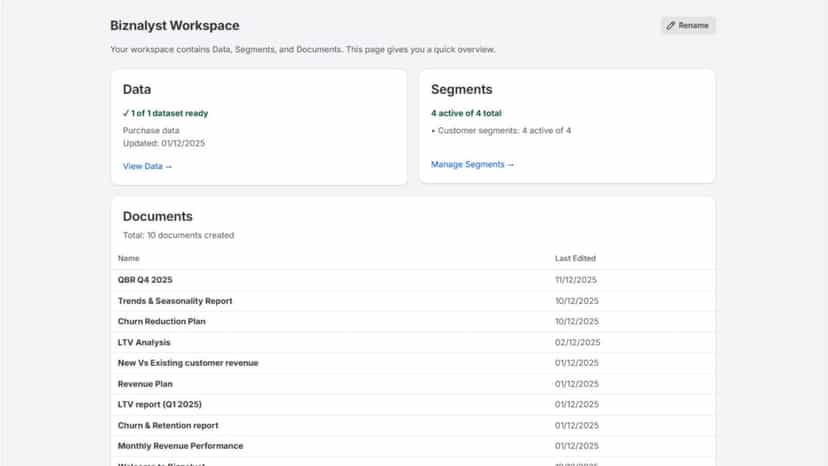 Biznalyst home showing workspace Data, Segments and Documents