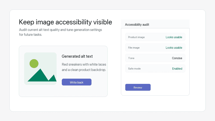 Accessibility audit for image alt text