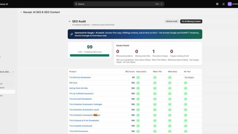 SEO Audit results showing missing metadata by product