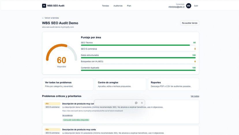 Detalle de auditoría con puntajes por área y problemas