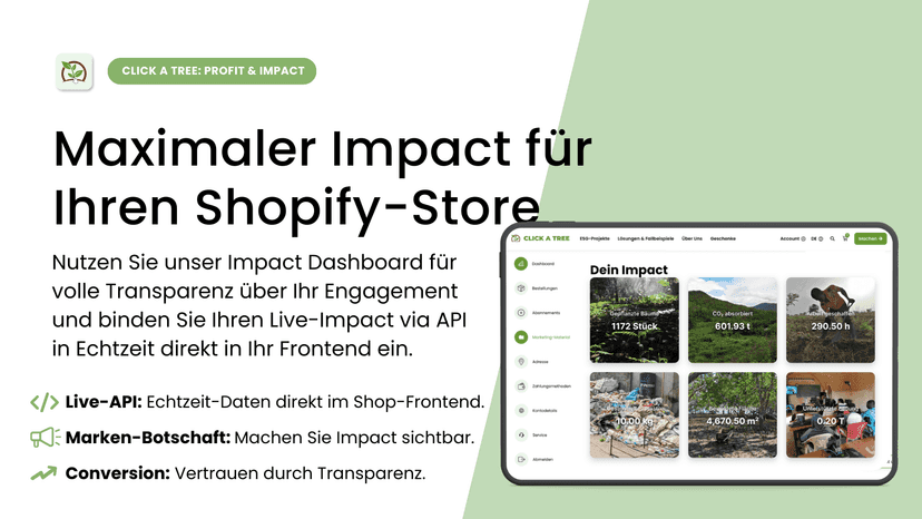 Impact-Dashboard mit Live-API und Echtzeit-Daten