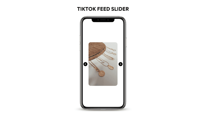 TikTok Feed