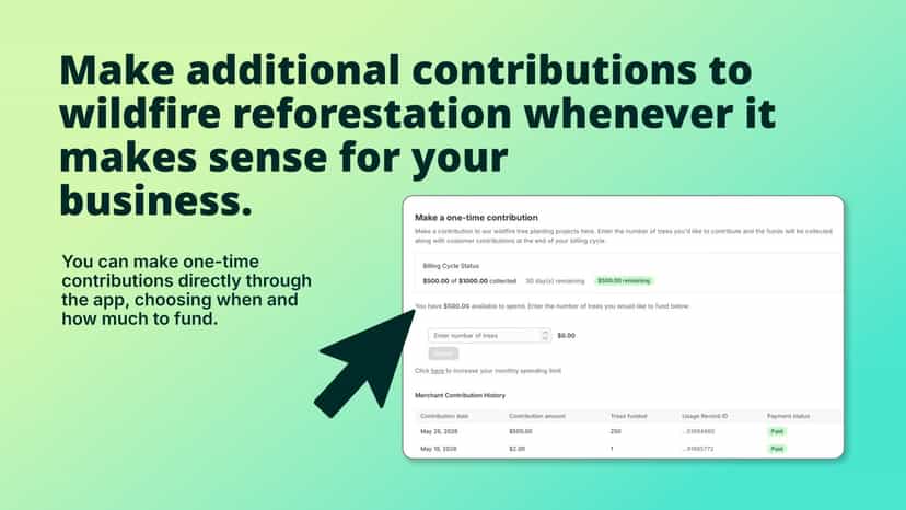 Support wildfire recovery and reforestation