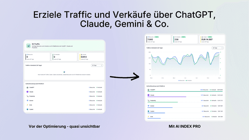 Traffic & Conversion Analyse mit AI Index Pro