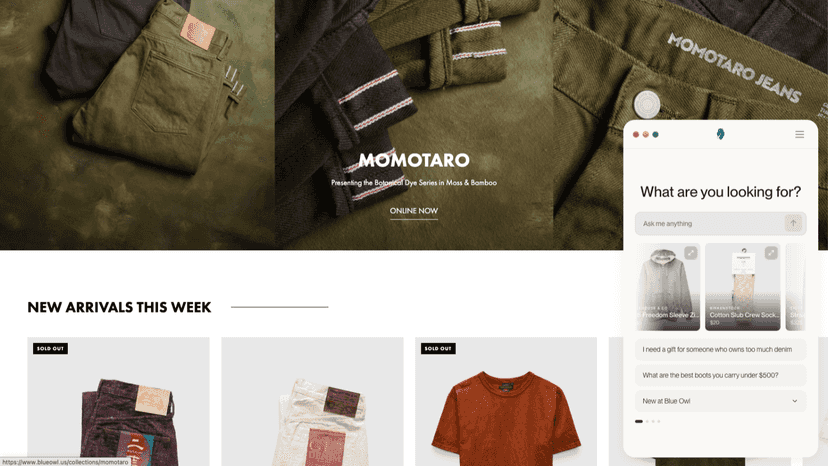 Recommends products from your catalog and suggests pairings as s