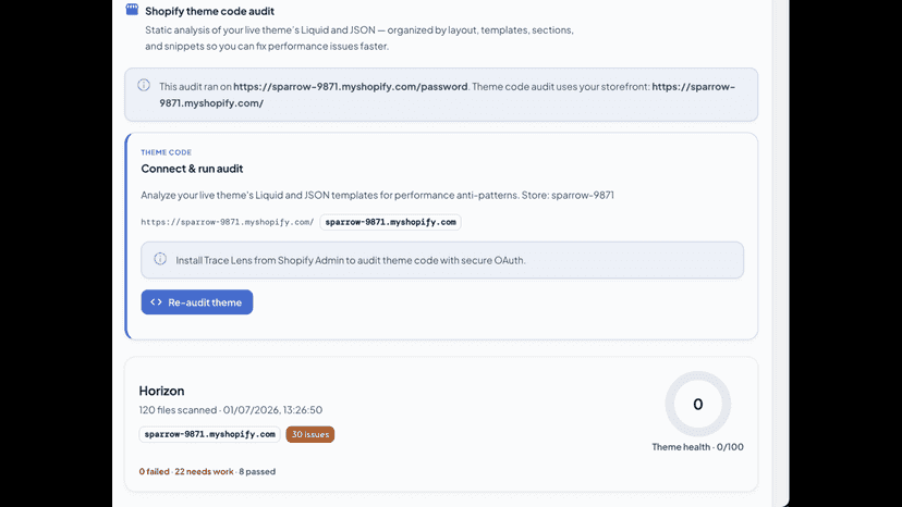 theme-audit