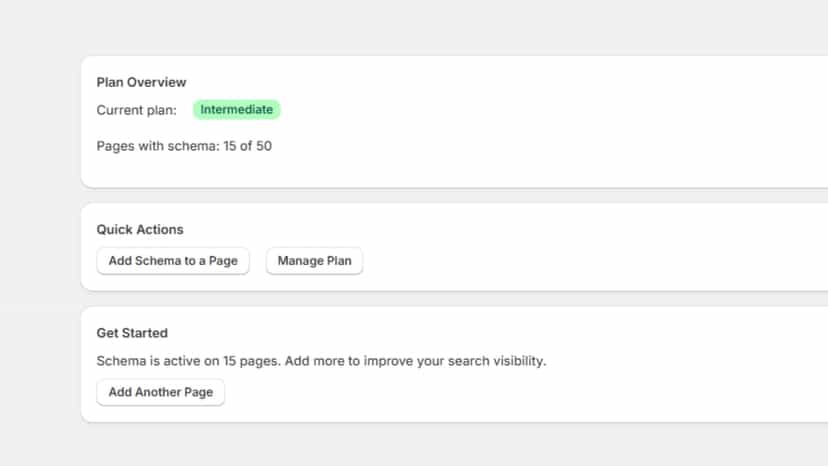 SchemaForge dashboard view with plan limits and status