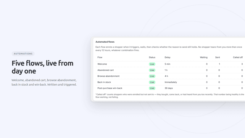 Five automated flows shown live with their send delays