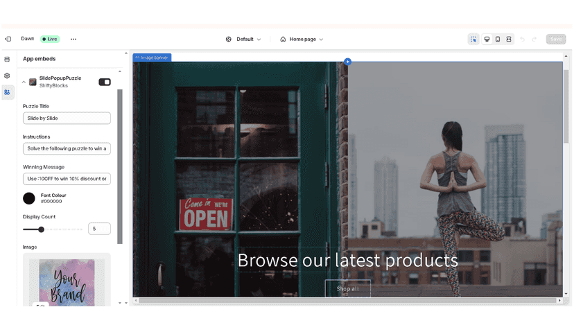 Configuring puzzle for image, instruction and reward