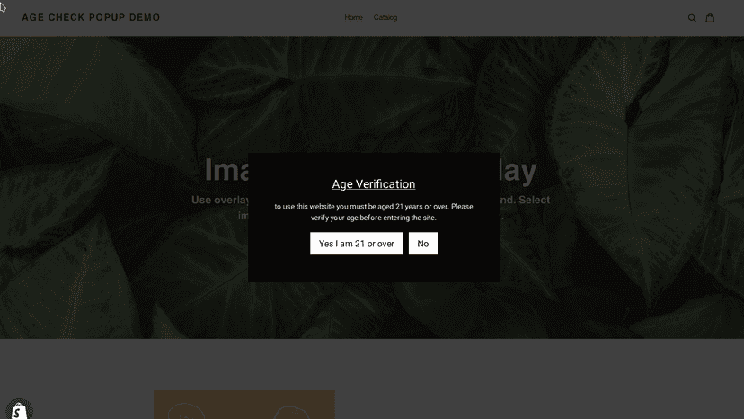 app visible on the storefront