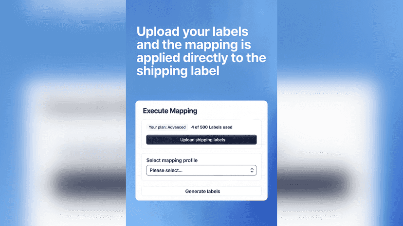 Mapping Execution