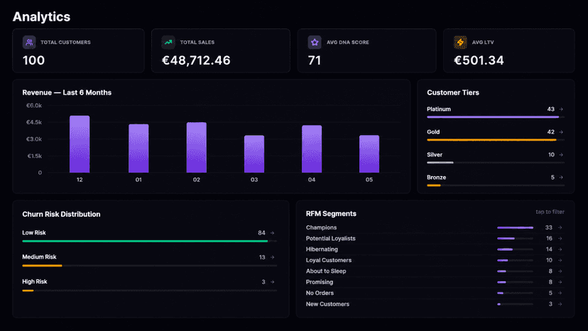 Customer analytics with RFM segments and churn risk
