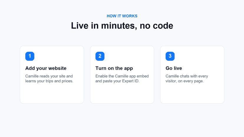 Three steps to add Camille to your store and go live
