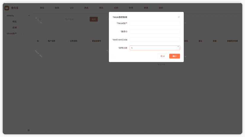 App tiktok authorization page