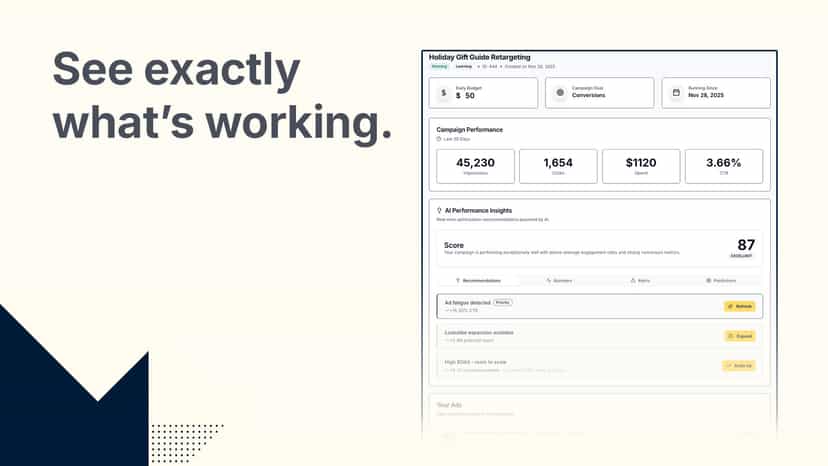 Campaign results and recommendations page.