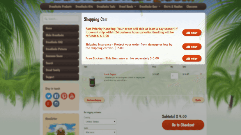 Here's how offers display on your checkout page.