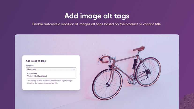Function to automatically add alt tags to images using products