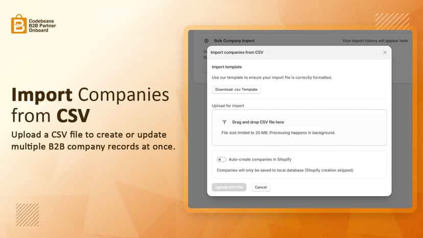 Import Companies from CSV