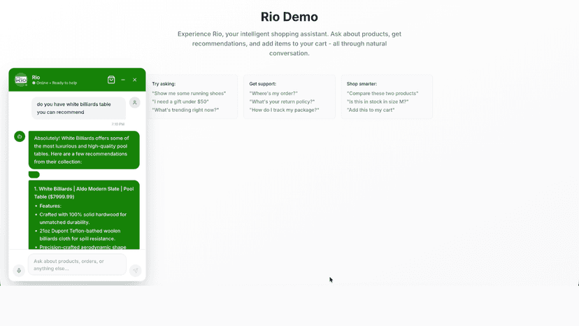 Chatting with rio ai