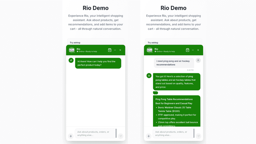 product enquiry on rio chat bot