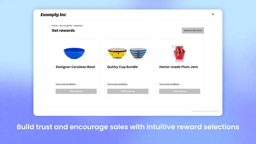 Provide an engaging loyalty hub for your customers