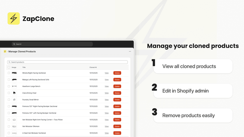 ZapClone interface with store URL input for fast product cloning