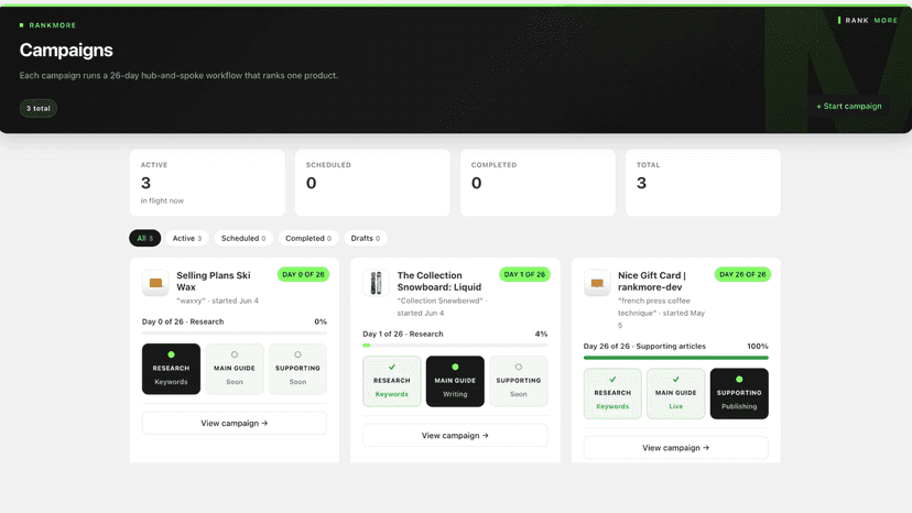 Three SEO campaigns running, each with day-by-day progress