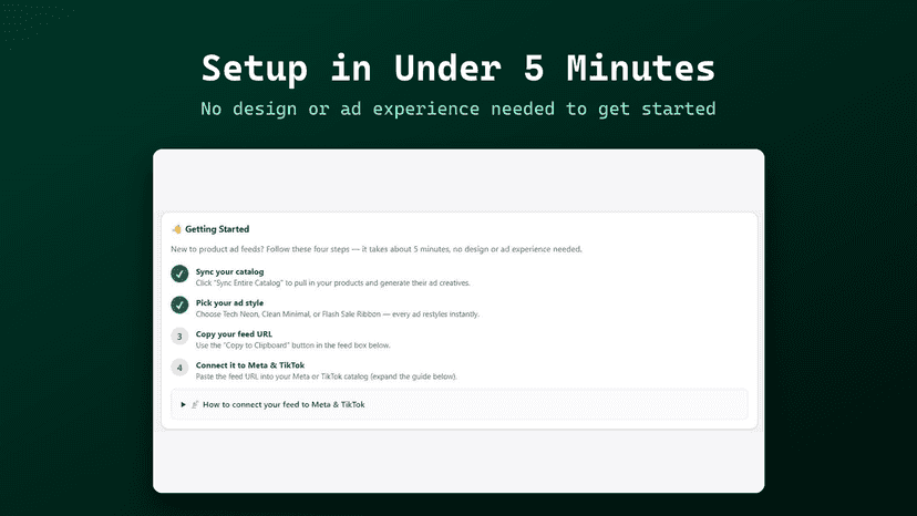 Guided setup — live in about 5 minutes