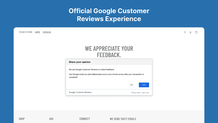 Official Google Customer Reviews Experience