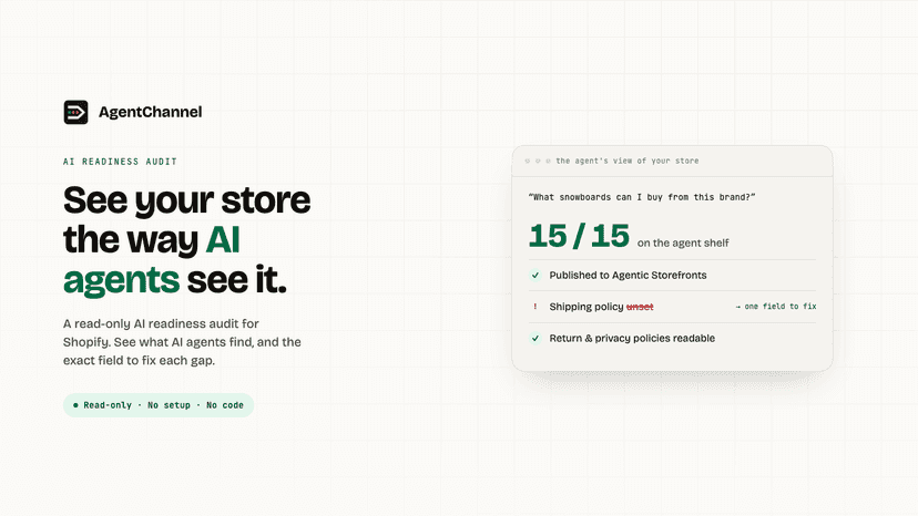 An AI agents view of a store's agentic readiness