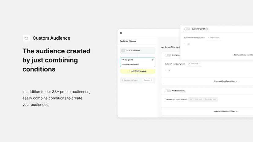 Datarize audience creation feature
