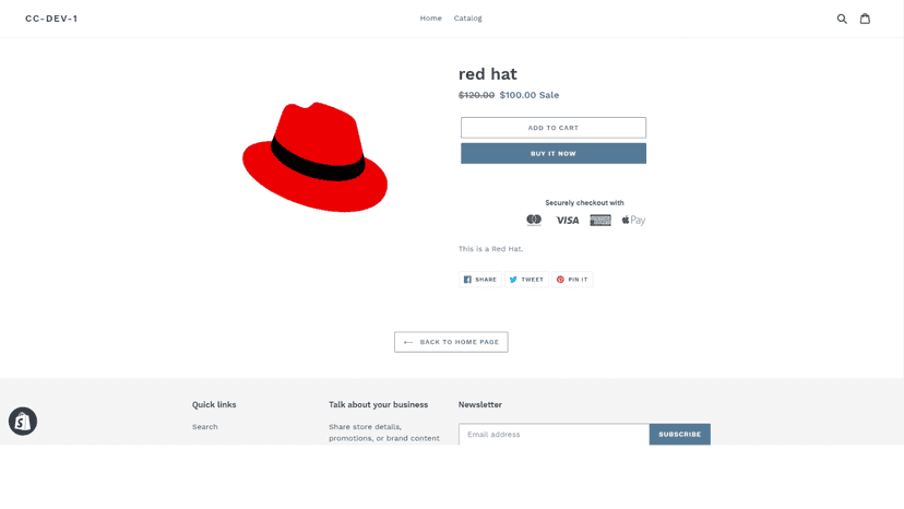 Before Shopify Afterpay Install